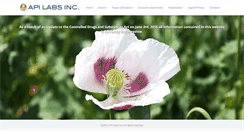 Desktop Screenshot of api-labs.com